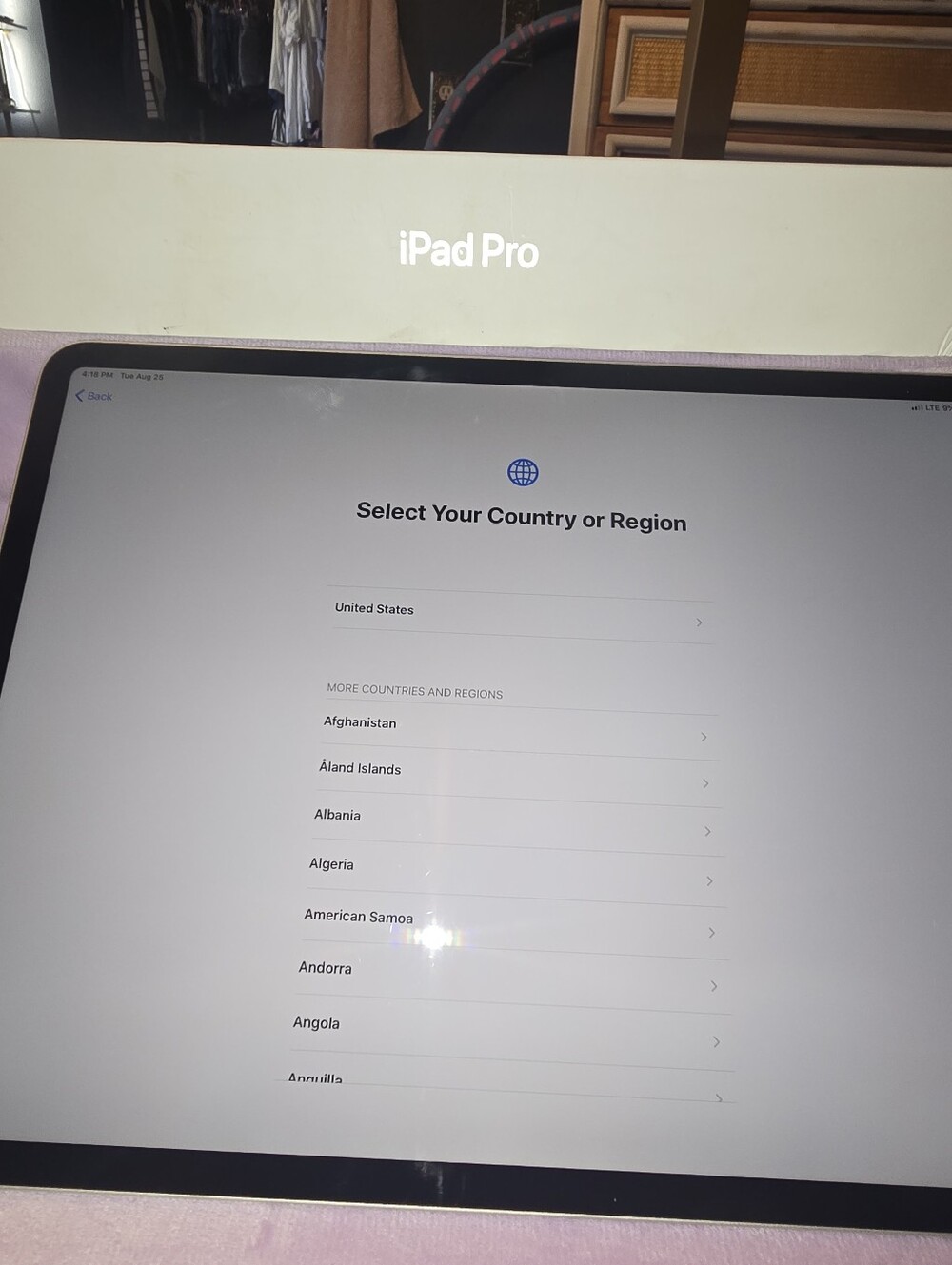 iPad Pro 12.9 Inch, 256 GB (Wi-Fi + cellular, unlocked)